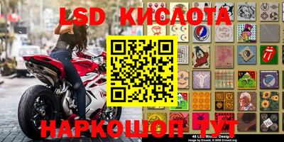 индика Заволжье