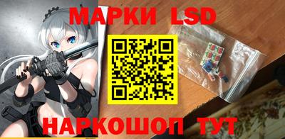 индика Заволжье