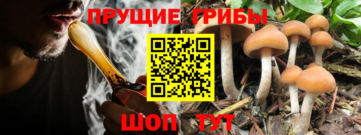 Псилоцибиновые грибы Magic Shrooms Петрозаводск